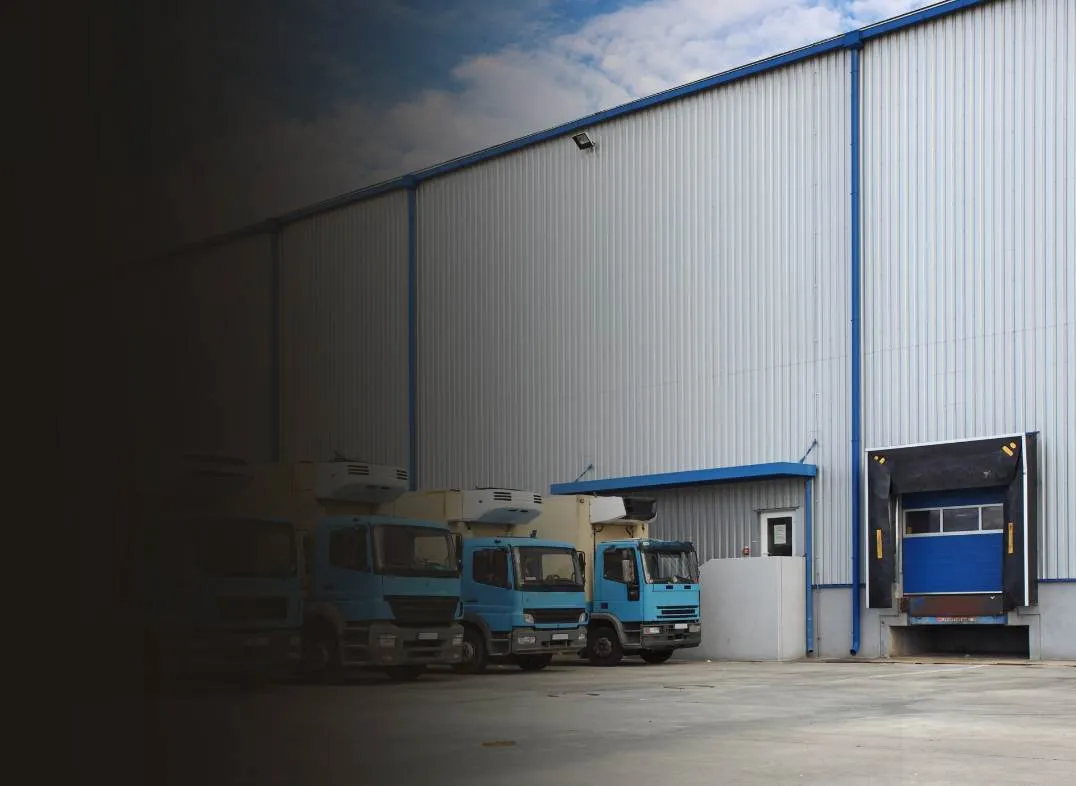 Let’s Get You Moving